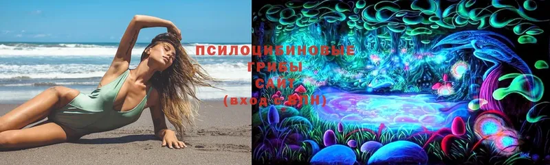 Псилоцибиновые грибы Magic Shrooms  где продают   shop состав  Электроугли 